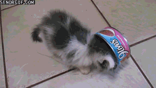 Giphy You're not doing your job, servant!